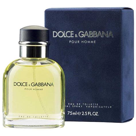 DOLCE & GABBANA Pour Homme Eau De Toilette 